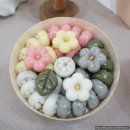 세종 도토리 스튜디오 아기 백일 셀프 촬영 후기