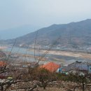 동화농원