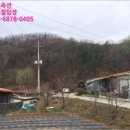 늘목리 진료소 네이버블로그