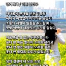 강가에서 이미지