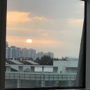 다빈치덴탈 | 갑상선암 로봇수술 후기(2) (건대병원/반절제/ 다빈치로봇수술)