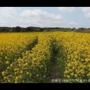 제주하늘바람 이미지