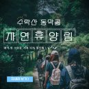 동막골쉼 | 수락산 동막골 자연휴양림 예약 및 수락휴 가격 10% 할인방법