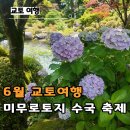 교토 수국 명소 미무로토지 후기 6월 교토 여행에서 꼭 가볼 만한 곳