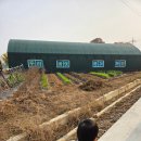 큰별어린이집 | 두리버섯농장 어린이집 부모참여 방문 후기