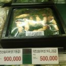 송이마트 이미지