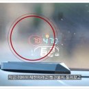 신호카포스 이미지