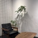 쓰리블렌드 이미지