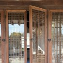 13월의아침 | [블챌] 2025 What's in my travel Gyeongju '13월의경주'