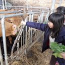 반갑소 농장 이미지