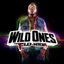 Flo Rida - Wild Ones 이미지