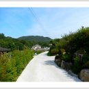 충청도양반길(2코스) 이미지