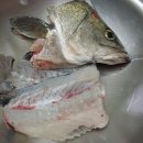 싱싱드림수산 이미지