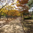 단풍으로 아름다운 남양성모성지 이미지