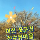 이천산수유마을