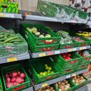 터미널슈퍼(킴스터미널마트) | 터키 카파도키아 카이막 파는곳 bim mart 빔 마트와 a101 슈퍼마켓