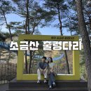 매표소가판대 | 원주 소금산 출렁다리 코스 매표소 입장권 할인 후기