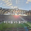 선축산 | 서울월드컵경기장~동측C구역39열8번9번위치및~K리그22라운드~FC서울vs울산현대~관람후기~!!
