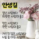 은주가발