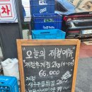 새벽대게 서초본점 | 강남 숙성회 맛집 | 새벽밤바다 강남본점 후기
