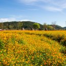 호국 의병의 숲 친수공원 이미지