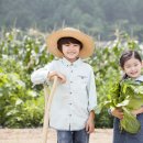 산촌식품 이미지