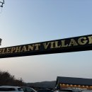 용인 엘리펀트 빌리지::투움바 파스타 채끝 스테이크 피자 후기::웨이팅 팁