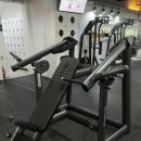 LIFE STRENGTH GYM 네이버블로그