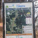 원주굽이길 1코스 가마바우길 | 원주굽이길 1코스 가마바우길 (2025.11.24.)