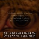 도미니언