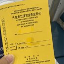 새울산약국 | 아프리카 여행준비 #3_예방접종 장티푸스,황열병, 그리고 파상풍 (+@?) 울산병원 및 보건소 접종기