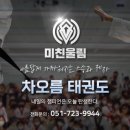 팀 에이스 태권도 이미지