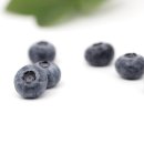 보라농장2 이미지