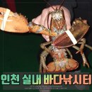 동암 낚시터 | 인천 실내 바다 낚시터 오랜만에 방문! 역시나 재밌다