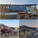 늘푸름홍천한우프라자 | 홍천 늘푸름 홍천 한우 프라자 방문 후기