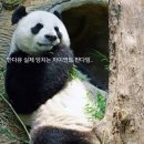 어만형제 이미지