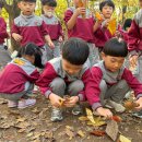 🌳운암지 수변공원에 가을이 왔다는 소식을 듣고 숲 체험 다녀왔어요🍁🍂 이미지