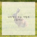 미소건강