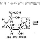 은거울 반응 실험 ( 21번 안재용 22번 여준호 23번 윤철현 24번 이강훈 ) 이미지