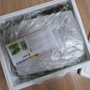 삼육사로26 | 건강식 모듬채소 클로렐라농법 샐러드야채 쌈채소종류 20종 800g 후기