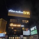 보스캣(BossCat)