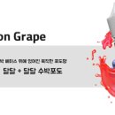 청주조이전자담배 이미지
