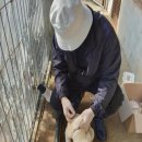 (주)호남메디칼 이미지