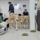 뭉스벨리 이미지