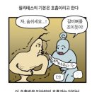 고려스포렉스 | 청량리 기구 필라테스 뉴전곡스포렉스 필라테스 솔직 후기