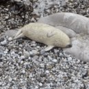 하프PC방 이미지