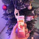 시원달달아이스크림