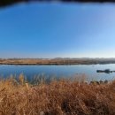 김박사약국 이미지