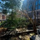 넘버원타코 이미지