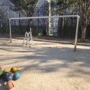 양도초교 이미지